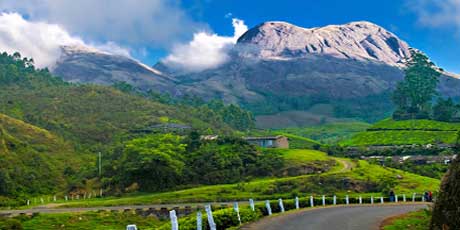 A view from Olive Gardens Kanthaloor