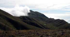Meesapulimala Munnar