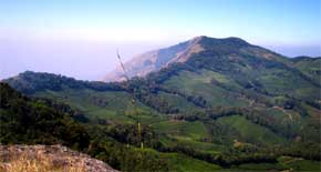 Pothamedu ViewPoint Munnar