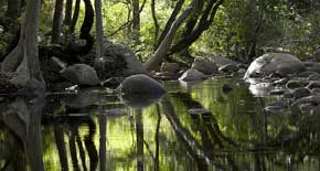 River Pambar
