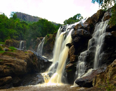 Olive Gardnens Homestay Resort Kanthalloor